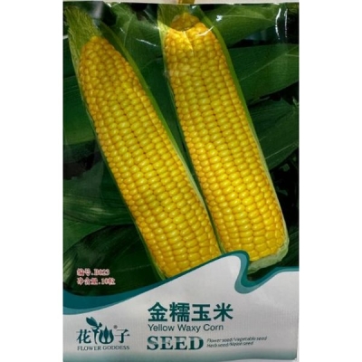 Золотая восковая кукуруза B023