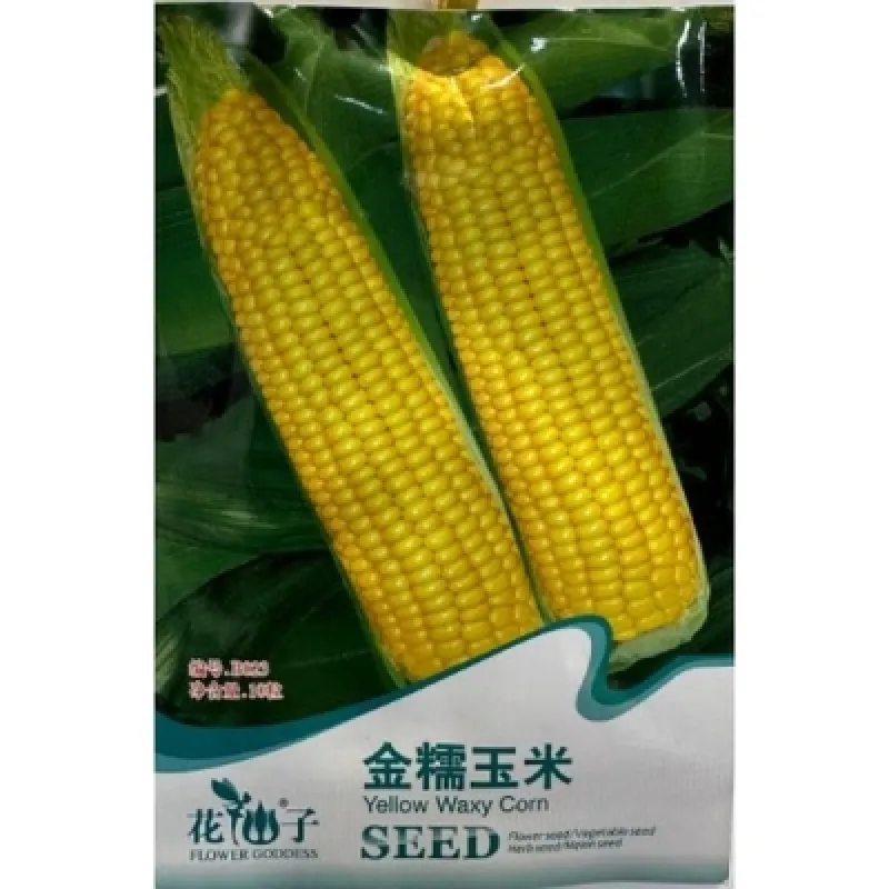 Золотая восковая кукуруза B023