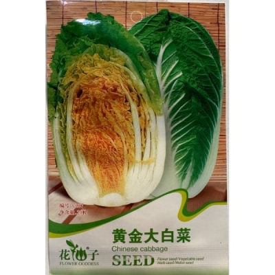 Золотистая пекинская капуста C037