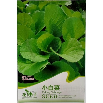 Китайская капуста "Пак-Чой" C047