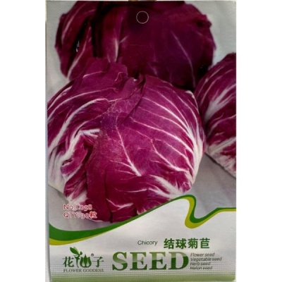 Кочанный цикорий C058
