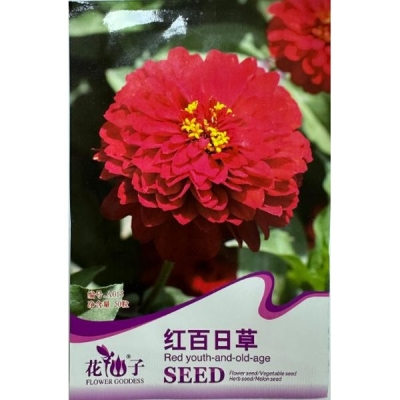 Красная цинния A015