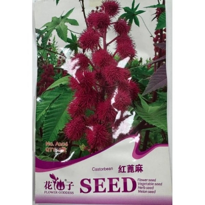 Красный клещевина A206