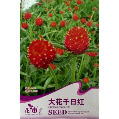 Крупная гомфрена (Глобусная амаранта) A072