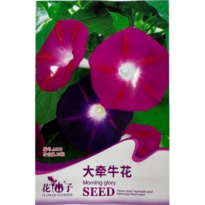 Крупная ипомея (Утренняя слава) A013