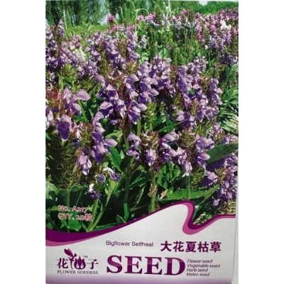 Крупноцветковая прунелла (самосил большой) A217