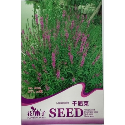 Лиотрум (Лоза дернистая) A122