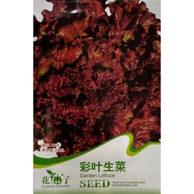Листовой салат с разноцветными листьями C008