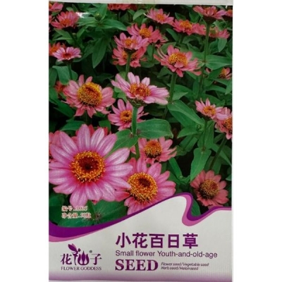 Мелкоцветковая цинния A035