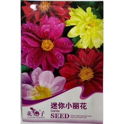 Миниатюрная георгина A030