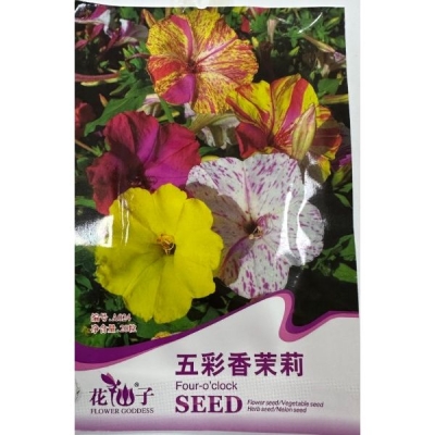 Мирабилис разноцветный (Четырёхчасовка) A024