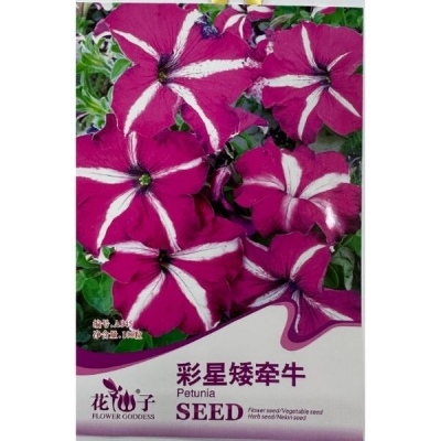 Многоцветковая петунья A045