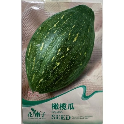 Оливковая тыква B058