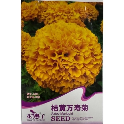 Оранжевая бархатка (Тагетес) A004