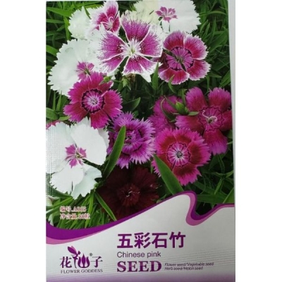 Пёстрая гвоздика A065