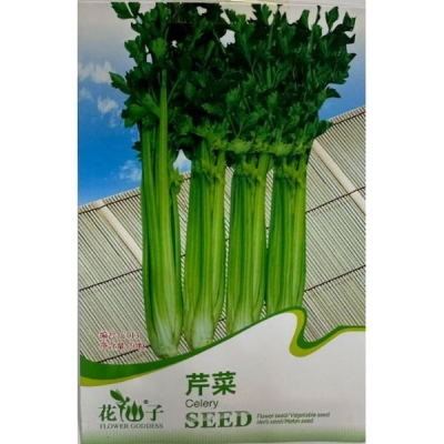 Сельдерей C013