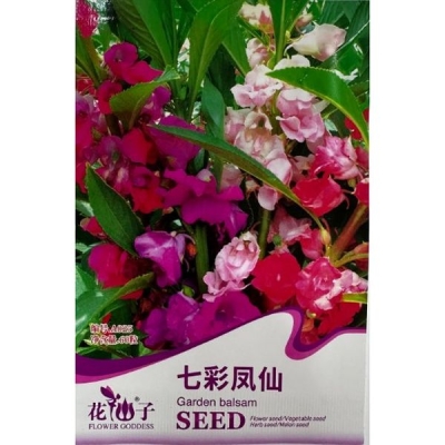 Семицветная бальзамина A025