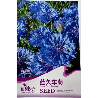 Синий василёк A056