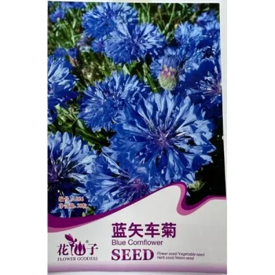 Синий василёк A056