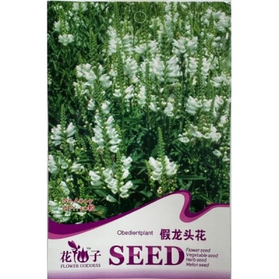 Физостегия (Ложноязычник) A044