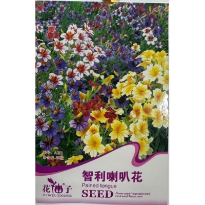 Чилийский сальпиглоссис A211