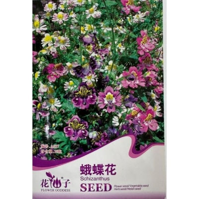Шизантус (Бабочковый цветок) A037