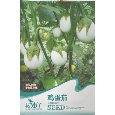 Яичный баклажан B050