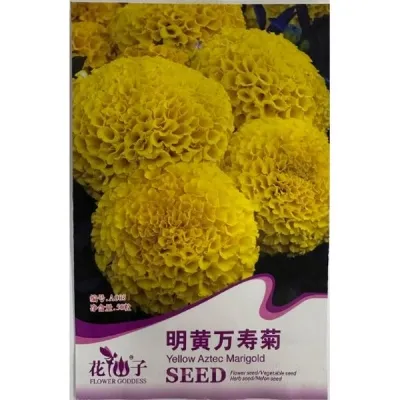 Ярко-жёлтая бархатка A005