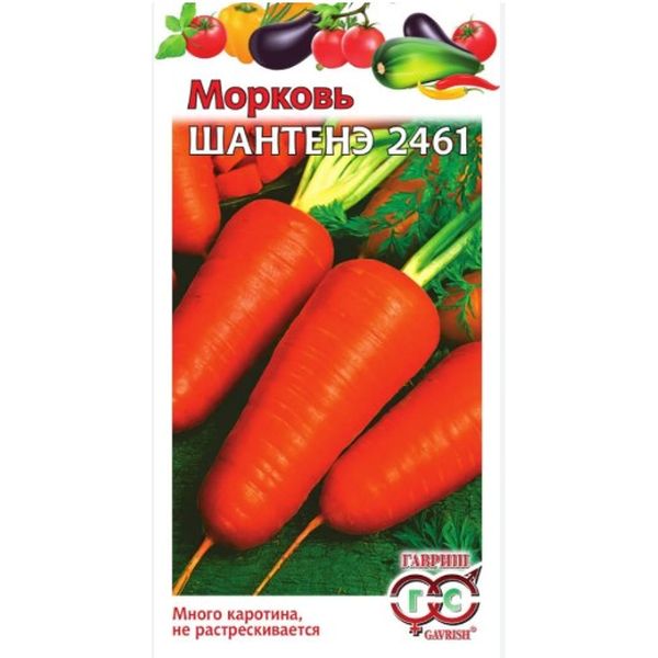 Морковь Шантенэ 2461 среднеранний 2,0г. Гавриш