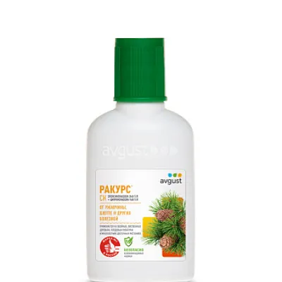 Ракурс 48мл N30