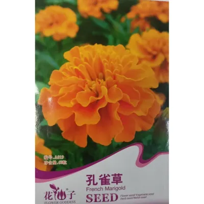 Французская бархатка (тагетес) A019