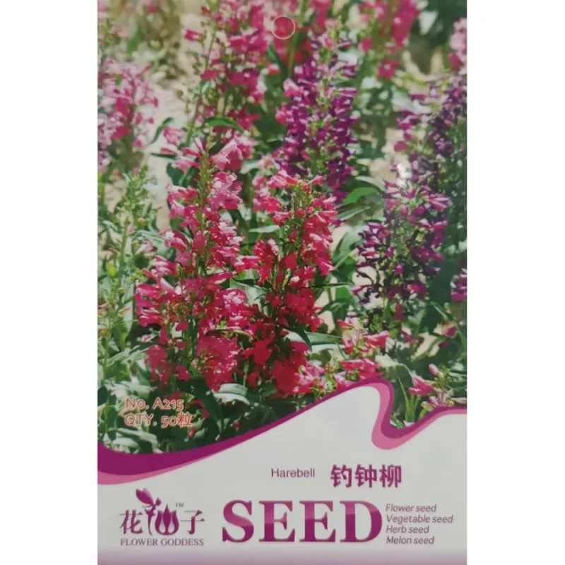 Пенстемон (Колючий колокольчик) A215