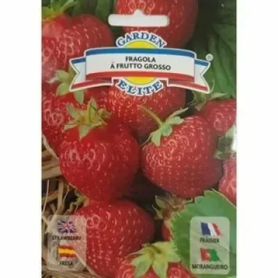Земляника ALEXANDRIA 13552