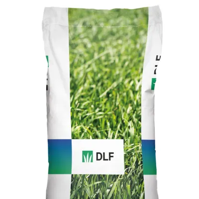 Семена "Мятлик SR2100" 20кг