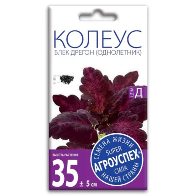 Лц/колеус Блек Дрегон О *10шт