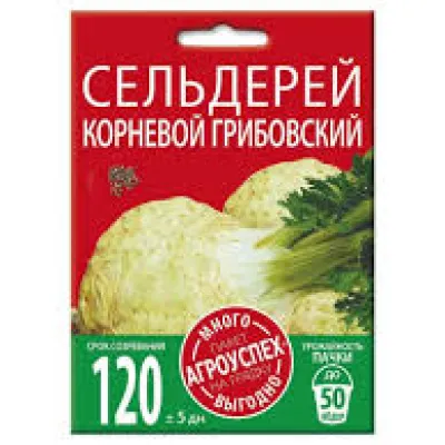 ЛМ/балдыркөк Грибовский тамырлы *2г
